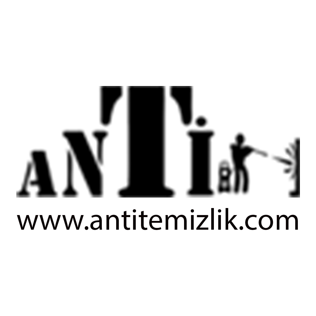 Web Site