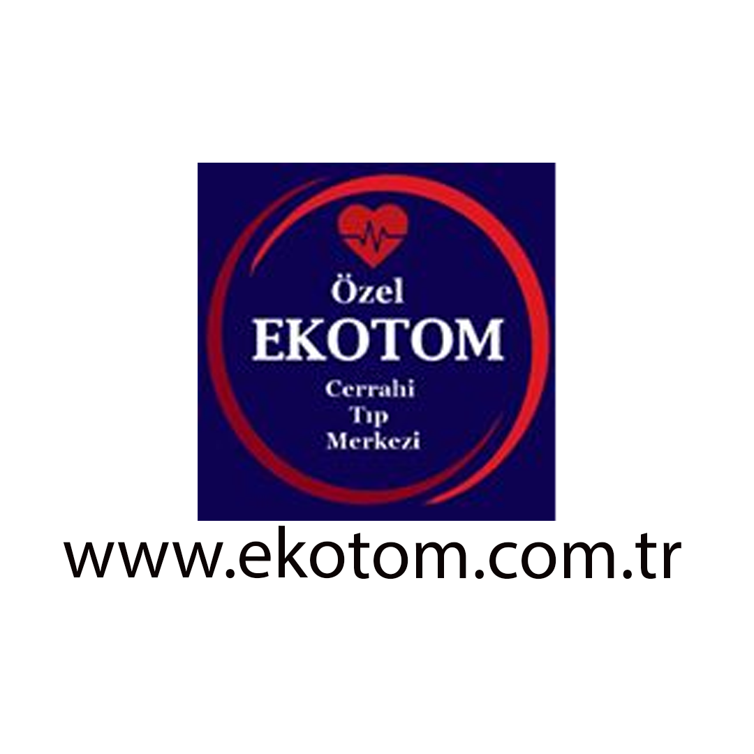 Web Site