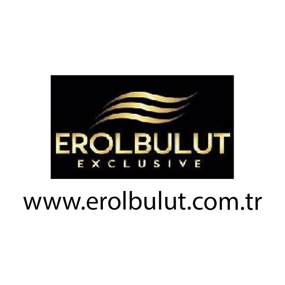 Web Site