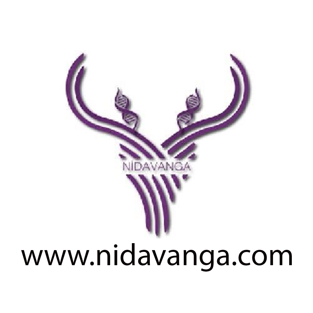 Web Site