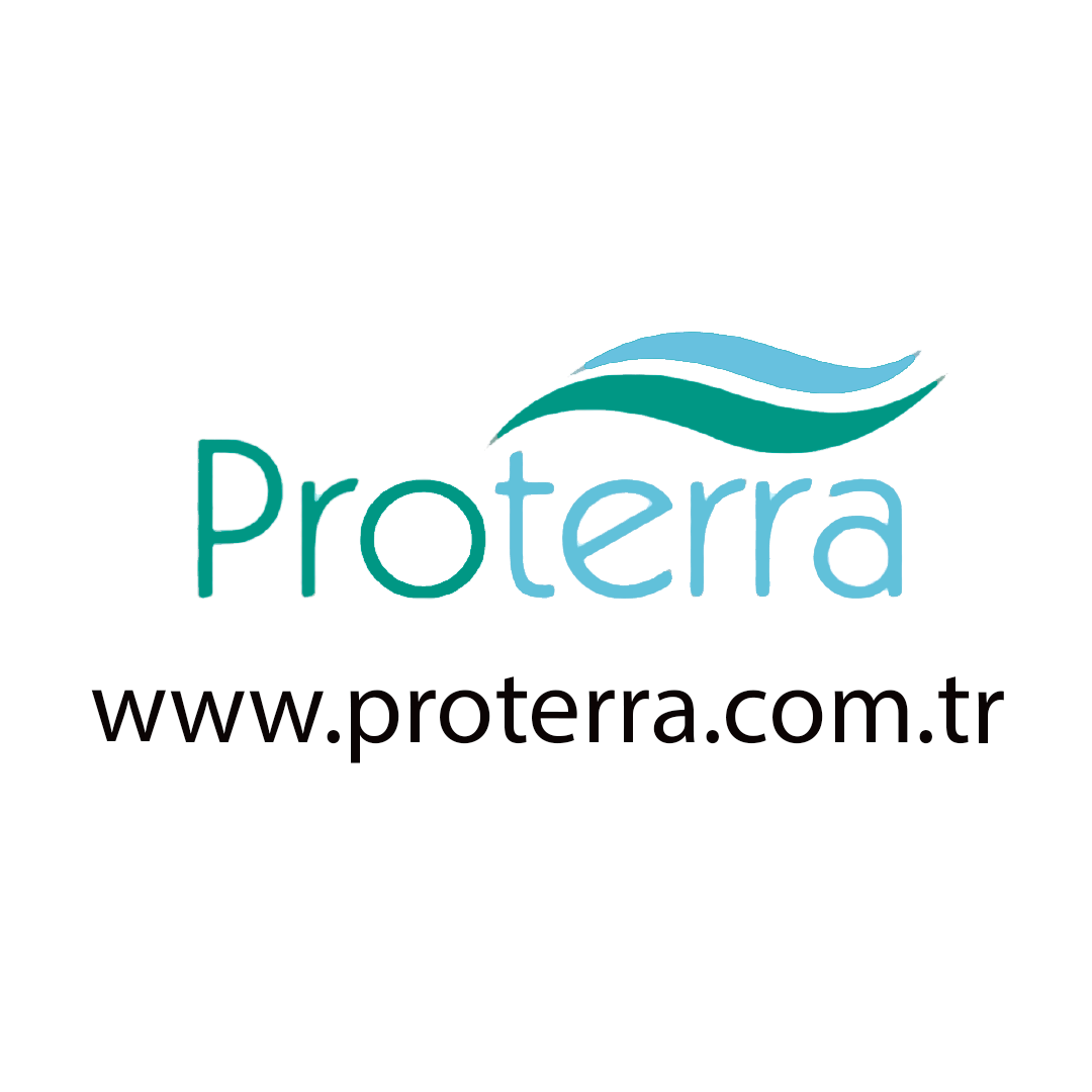 Web Site