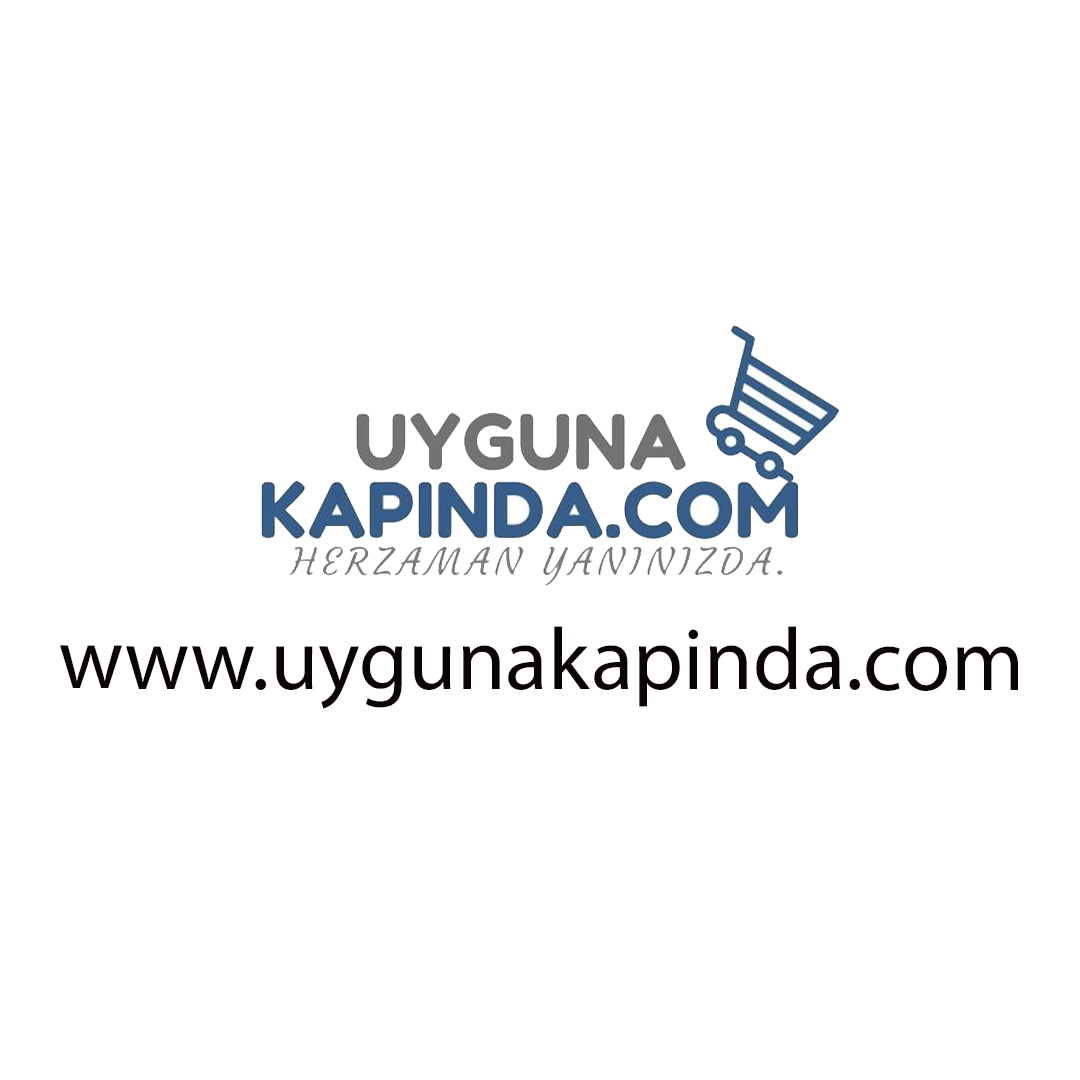 Web Site